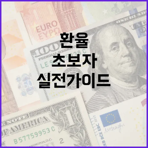환율 이해하기: 초보자를 위한 실전 가이드 - 요약