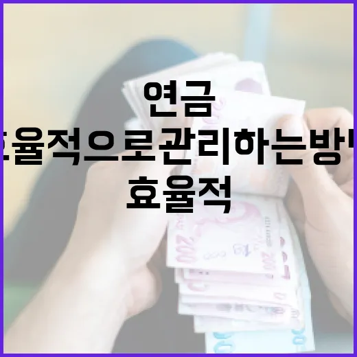 연금을 효율적으로 관리하는 방법 - 요약