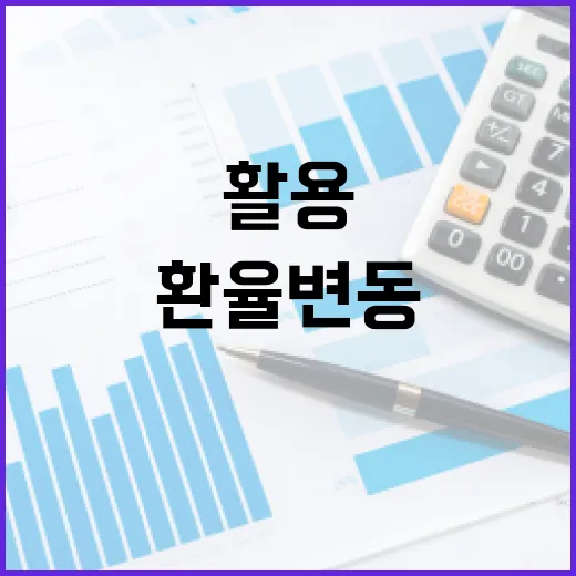 환율 변동에 대처하는 방법: 실생활 활용 팁 - 요약