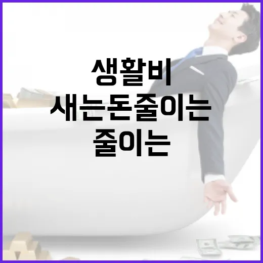 농협은행 생활비 통장으로 새는 돈 줄이는 5가지 방법 - 요약