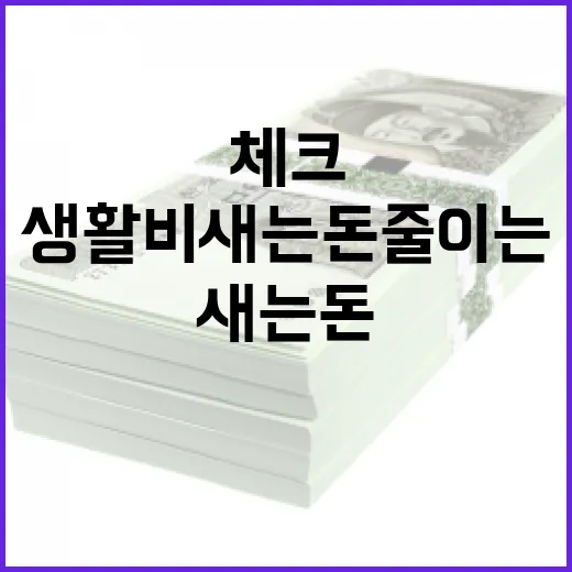 체크카드로 생활비 새는 돈 줄이는 5가지 방법 - 요약