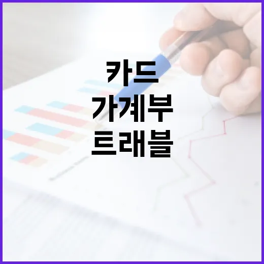 트래블카드 쓰기 전 가계부에 꼭 적어볼 5가지 - 요약