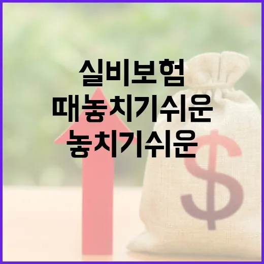 실비보험 점검할 때 놓치기 쉬운 5가지 생활비 기준 - 요약
