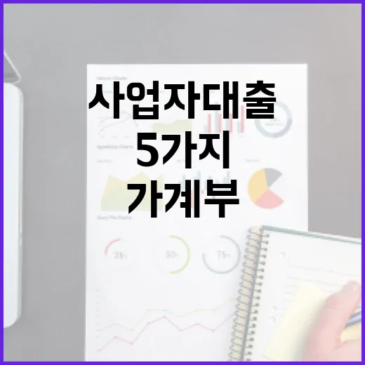 사업자대출 받기 전 가계부에서 먼저 확인할 5가지 숫자 - 요약