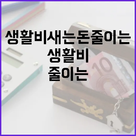 토스카드로 생활비 새는 돈 줄이는 5가지 방법 - 요약