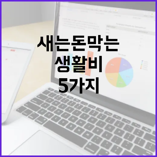 체크카드로 생활비 새는 돈 막는 5가지 방법 - 요약