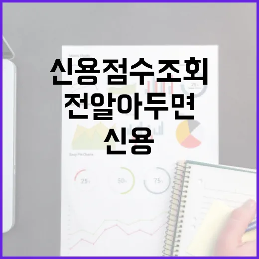 신용점수조회 전 알아두면 덜 불안한 5가지 생활 기준 - 요약