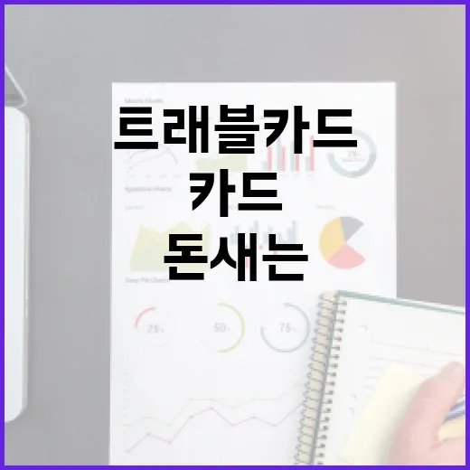 트래블카드 쓰기 전 확인할 5가지 돈 새는 지점 - 요약