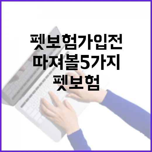 펫보험 가입 전 가계부로 따져볼 5가지 기준 - 요약