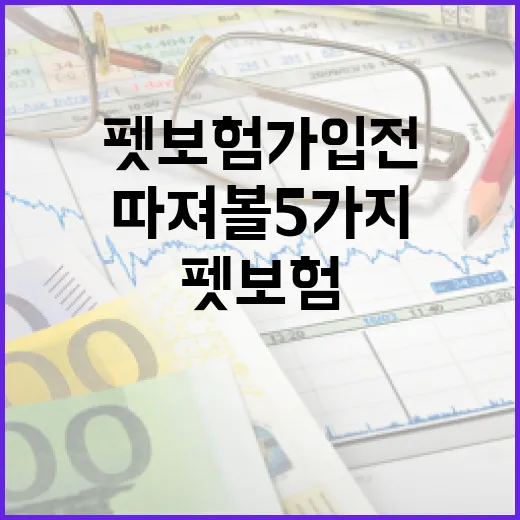 펫보험 가입 전 가계부로 따져볼 5가지 기준 - 요약