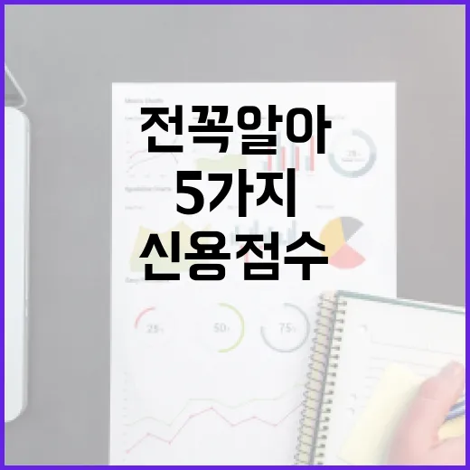 신용점수조회 전 꼭 알아둘 5가지 생활 가계부 기준 - 요약