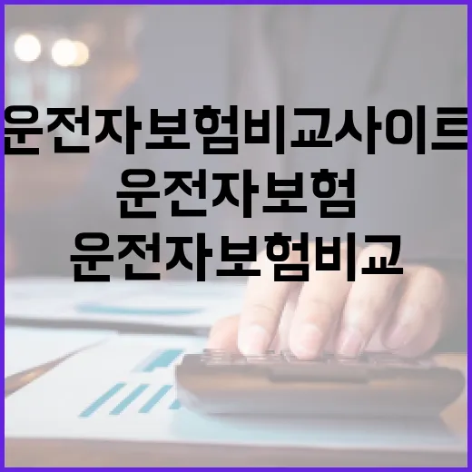 운전자보험비교사이트 쓰기 전 확인할 5가지 기준 - 요약
