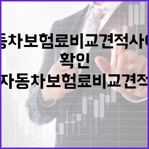 자동차보험료비교견적사이트 쓰기 전 확인할 5가지 절약 포인트 - 요약