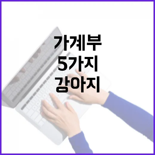 강아지보험 가입 전 가계부에 먼저 적어볼 5가지 숫자 - 요약