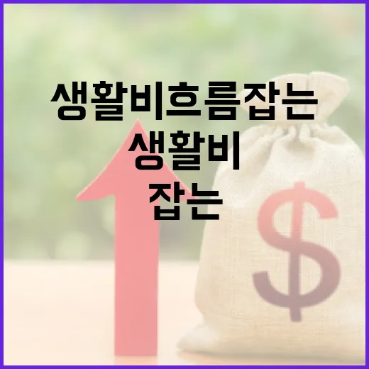 하나은행으로 생활비 흐름 잡는 5가지 가계부 습관 - 요약