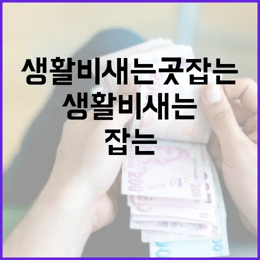 카카오뱅크로 생활비 새는 곳 잡는 5가지 가계부 습관 - 요약