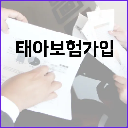 태아보험 가입 전 가계부로 따져볼 5가지 숫자 - 요약