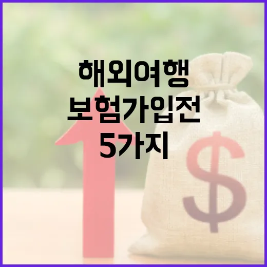 해외여행보험 가입 전 가계부 기준으로 따져볼 5가지 - 요약