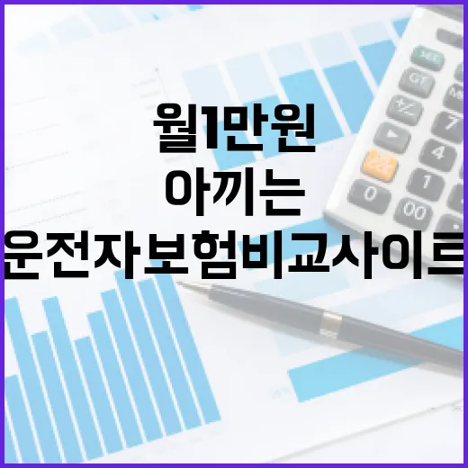 운전자보험비교사이트 볼 때 월 1만 원 아끼는 5가지 기준 - 요약