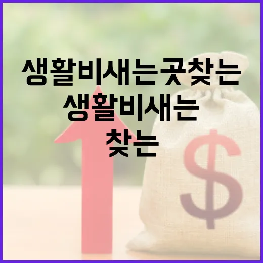 삼성카드홈페이지에서 생활비 새는 곳 찾는 5가지 방법 - 요약