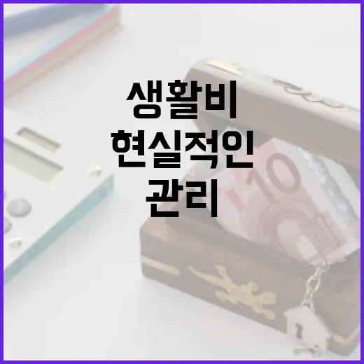 KB금융을 생활비 관리에 쓰는 5가지 현실적인 방법 - 요약