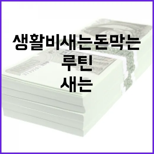 우리은행 쓰는 사람이 생활비 새는 돈 막는 5가지 가계부 루틴 - 요약