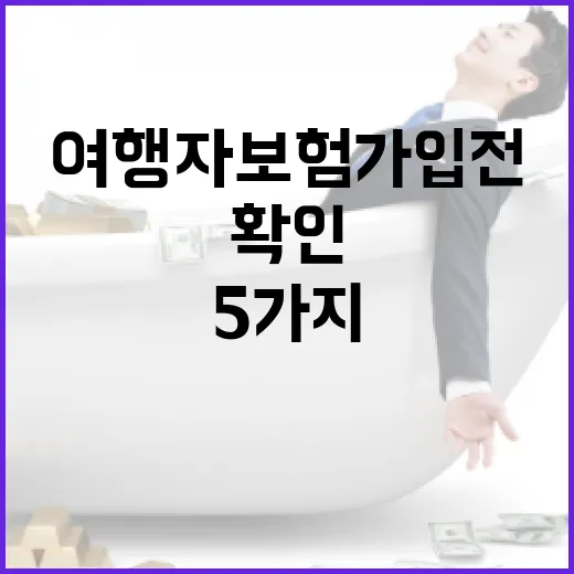 여행자보험 가입 전 가계부 기준으로 확인할 5가지 - 요약