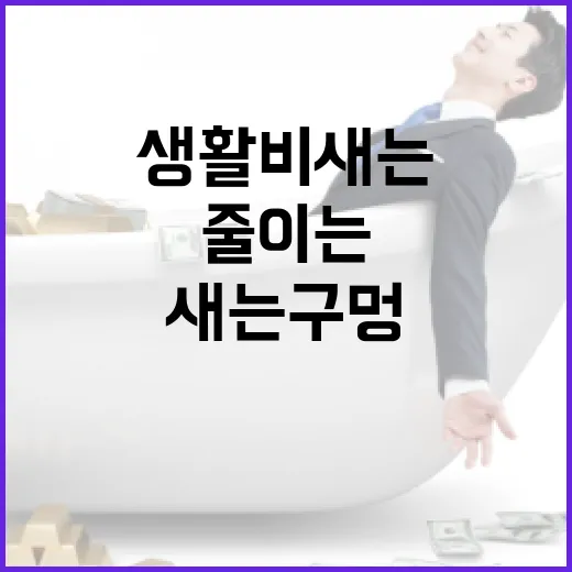 하나카드로 생활비 새는 구멍 줄이는 5가지 가계부 기준 - 요약