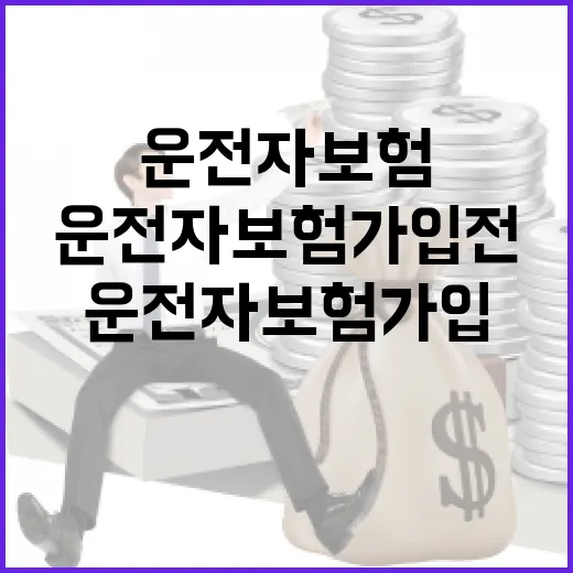 운전자보험 가입 전 가계부에서 먼저 보는 5가지 숫자 - 요약
