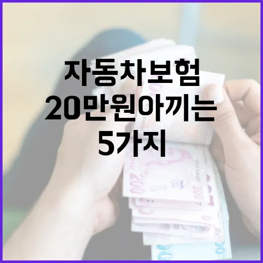 자동차보험비교로 1년에 20만원 아끼는 5가지 체크법 - 요약