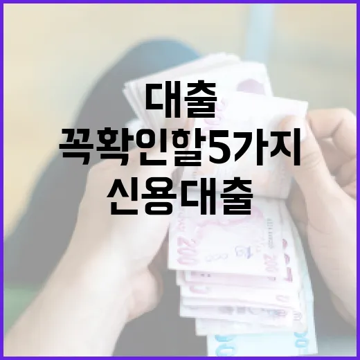 신용대출 받기 전 가계부에서 꼭 확인할 5가지 숫자 - 요약