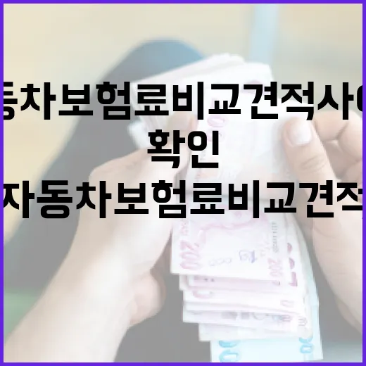 자동차보험료비교견적사이트 쓰기 전 확인할 5가지 돈 절약 포인트 - 요약