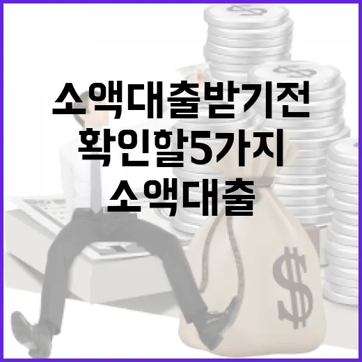 소액대출 받기 전 확인할 5가지 가계부 기준 - 요약
