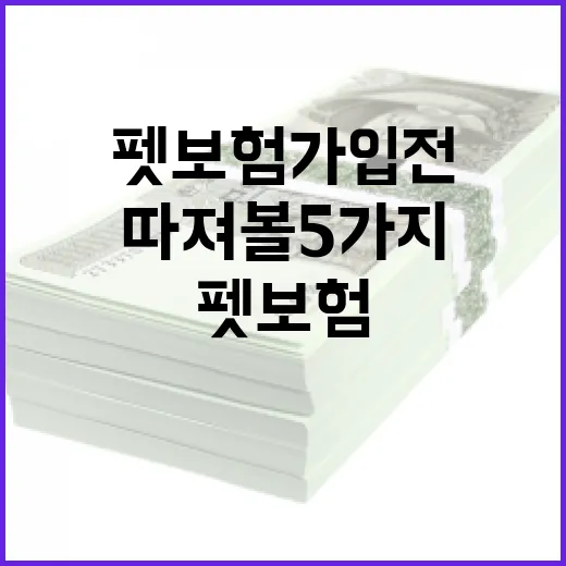 펫보험 가입 전 가계부에서 먼저 따져볼 5가지 숫자 - 요약