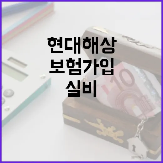 현대해상실비보험 가입 전 가계부로 따져볼 5가지 - 요약