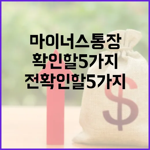 마이너스통장 쓰기 전 확인할 5가지 생활 예산 기준 - 요약