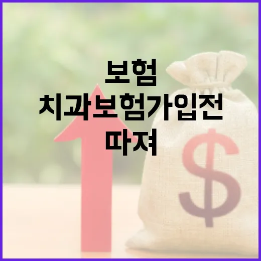 치과보험 가입 전 가계부로 따져볼 5가지 기준 - 요약