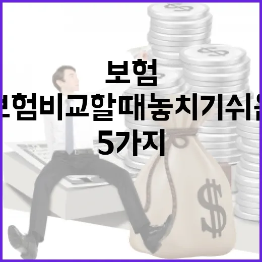 여행자보험비교할 때 놓치기 쉬운 5가지 기준 - 요약