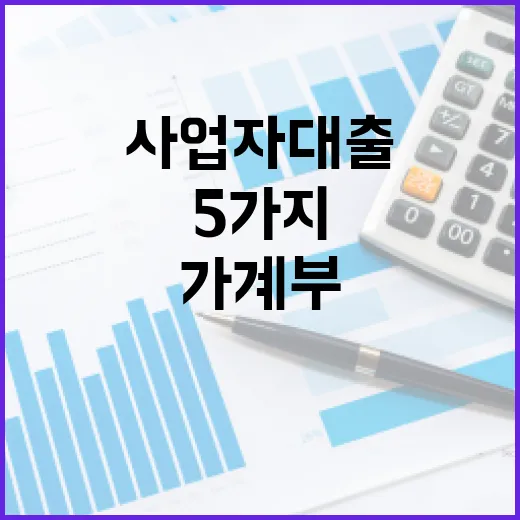 사업자대출 받기 전 가계부처럼 확인할 5가지 숫자 - 요약