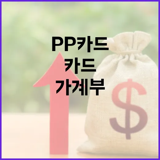 PP카드 만들기 전 가계부에서 먼저 확인할 5가지 - 요약