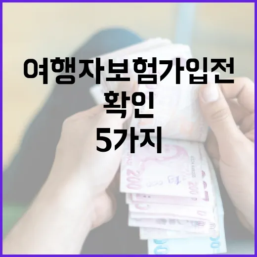단기여행자보험 가입 전 확인할 5가지 비용 기준 - 요약
