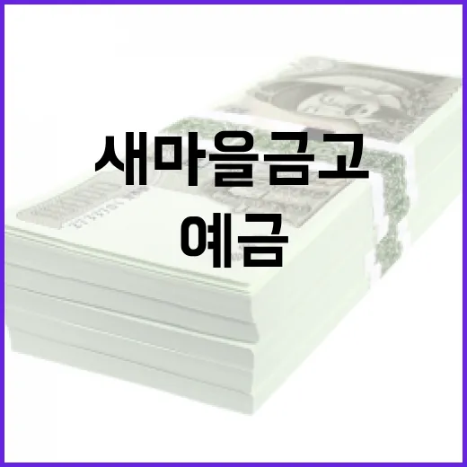 새마을금고예금 넣기 전 가계부로 확인할 5가지 - 요약