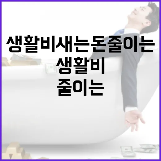 토스카드로 생활비 새는 돈 줄이는 5가지 기준 - 요약