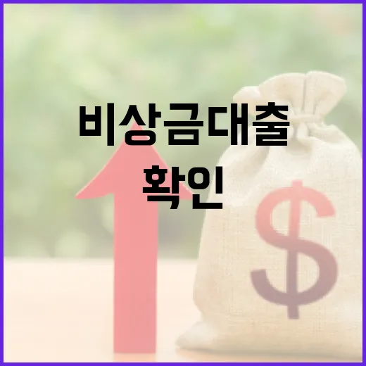 비상금대출 받기 전 확인할 5가지 숫자 - 요약