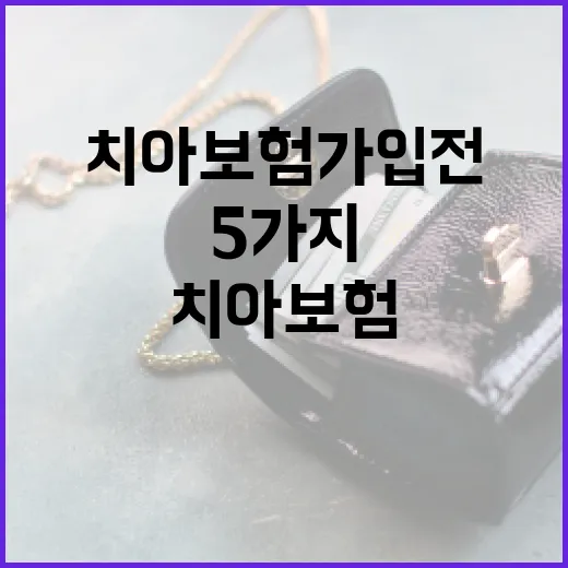 치아보험 가입 전 가계부로 먼저 따져볼 5가지 숫자 - 요약