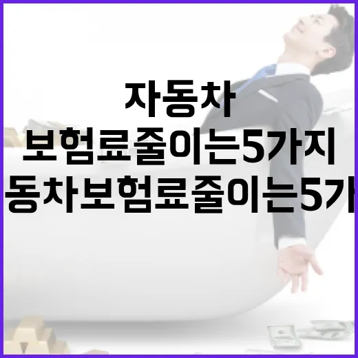 다이렉트자동차보험료 줄이는 5가지 가계부 점검법 - 요약