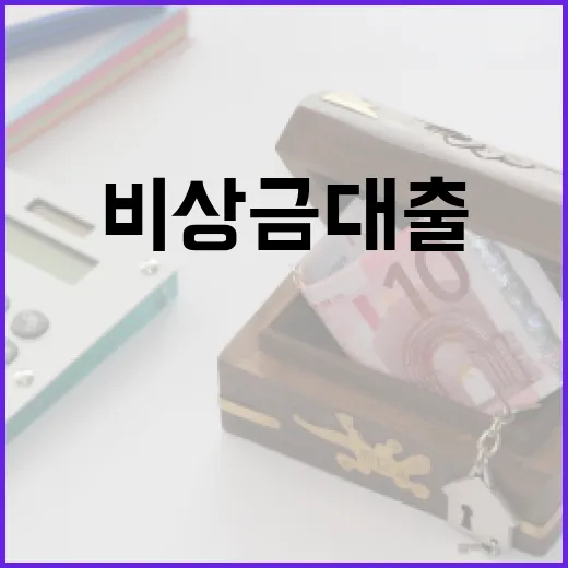 비상금대출 쓰기 전 확인할 5가지 생활 가계부 기준 - 요약