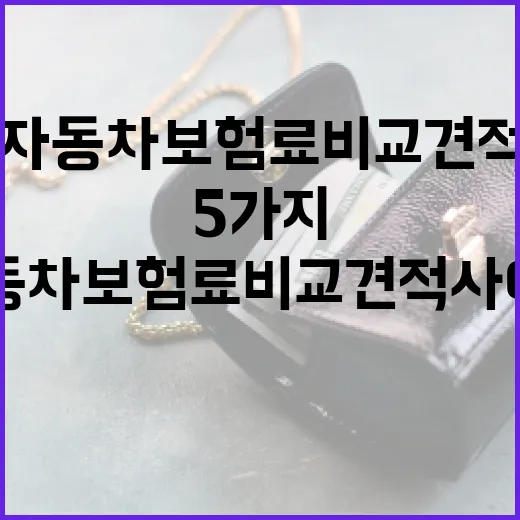 자동차보험료비교견적사이트에서 보험료 줄이는 5가지 확인법 - 요약