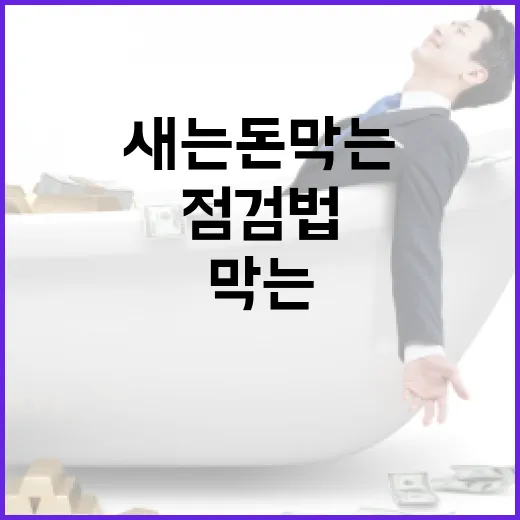 실비보험료 새는 돈 막는 5가지 점검법 - 요약