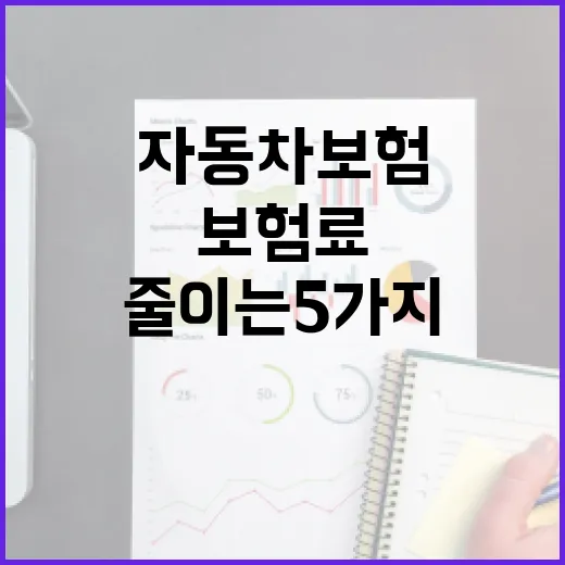자동차보험조회 전 확인하면 보험료 새는 돈 줄이는 5가지 기준 - 요약